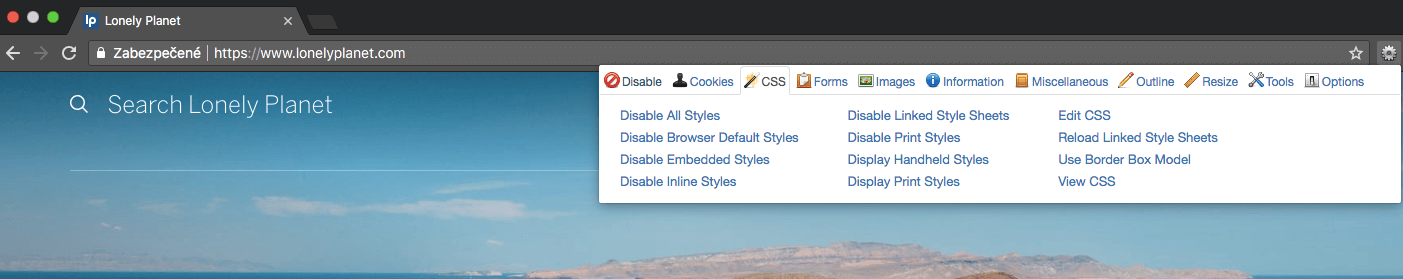 Web Developer Tool for seeing a page without CSS and JS