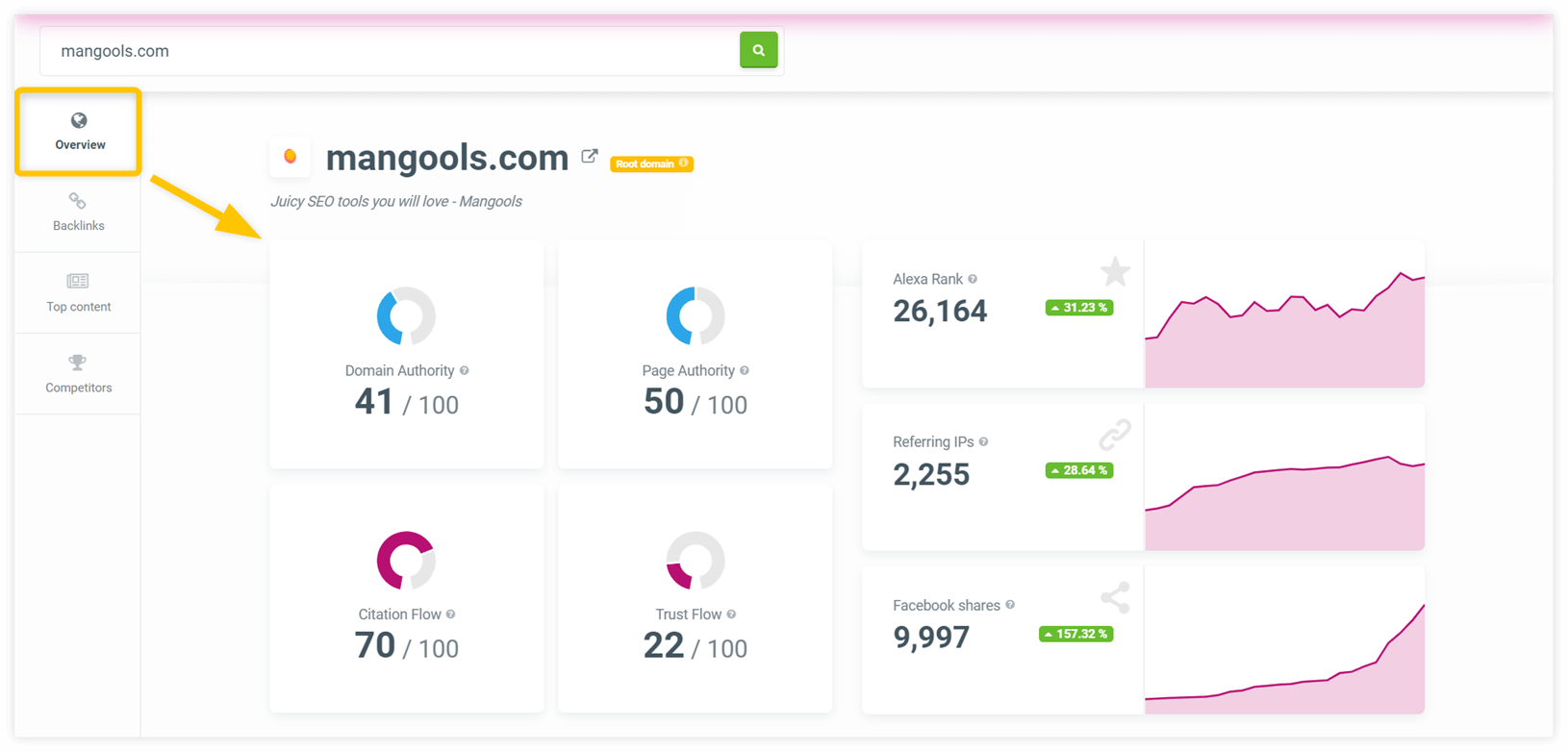 seo metrics overview